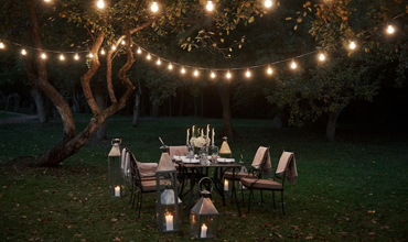 How Outside Lighting can Transform Your Summer Garden